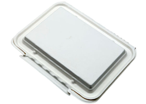 Clamshell 9×6 Inch Biodegradable Microwavable Food Containers