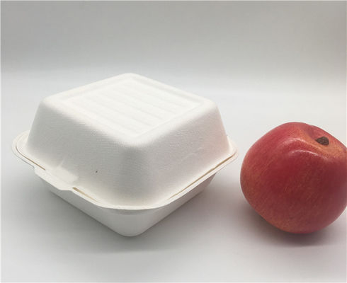 6" Biodegradable Takeout Containers