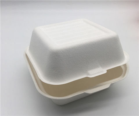 6" Biodegradable Takeout Containers
