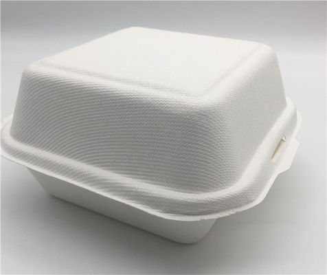 6" Biodegradable Takeout Containers