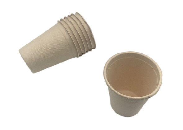 Eco-friendly Biodegradable Sugarcane Pulp 8oz Disposable china Coffee Milk Tea Paper Cup