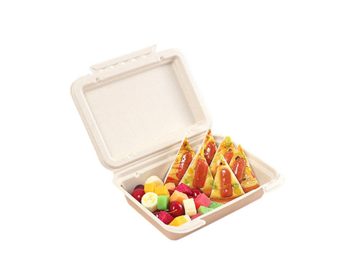 Clamshell 9×6 Inch Biodegradable Microwavable Food Containers